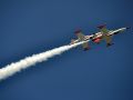 Turkish Stars Turk Hava NF 5A