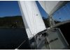 inzerát: Yacht Granada A / S  Granada 24, fotka 5