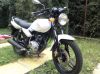 inzerát: Yuki Sport 125 YUKI SPORT 125 ccm, fotka 1