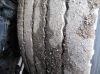 Iveco Ostatní Stralis AS 260S45, Manual, Fas, fotka: 3