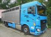 DAF Ostatní XF 106.460 SC, havarovaný-poji, fotka: 6