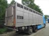 DAF Ostatní XF 106.460 SC, havarovaný-poji, fotka: 8